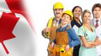 Các loại hình công việc khi định cư tại Canada