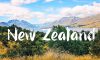 Những điều kiện tham gia XKLĐ Newzealand