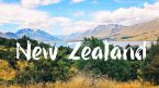 Những điều kiện tham gia XKLĐ Newzealand