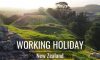 Visa Working Holiday- làm việc kết hợp du lịch tại New Zealand