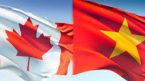 Nghề nấm bên Canada có những ưu điểm gì?