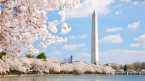 Vài nét về Washington D.C thủ đô đất nước Mỹ